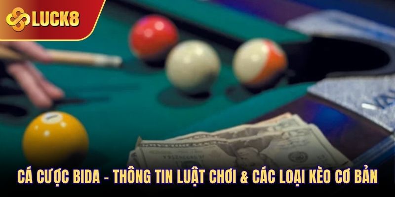 cá cược bida