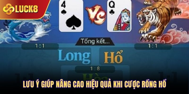 Lưu ý giúp nâng cao hiệu quả khi cược Rồng Hổ